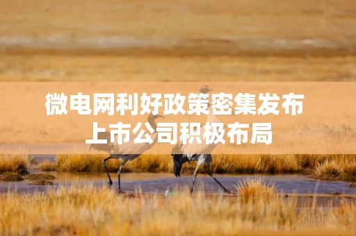 微电网利好政策密集发布 上市公司积极布局