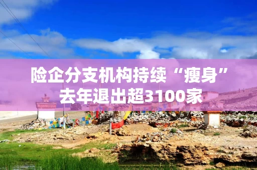 险企分支机构持续“瘦身” 去年退出超3100家