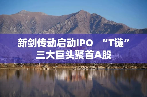 新剑传动启动IPO  “T链”三大巨头聚首A股