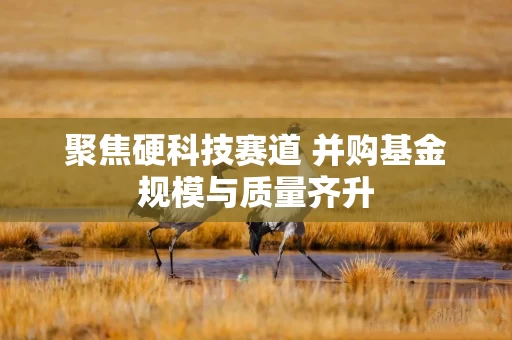 聚焦硬科技赛道 并购基金规模与质量齐升