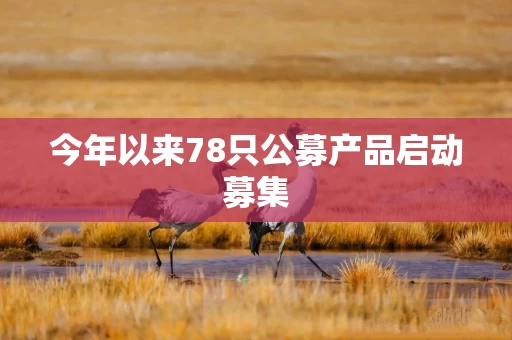 今年以来78只公募产品启动募集