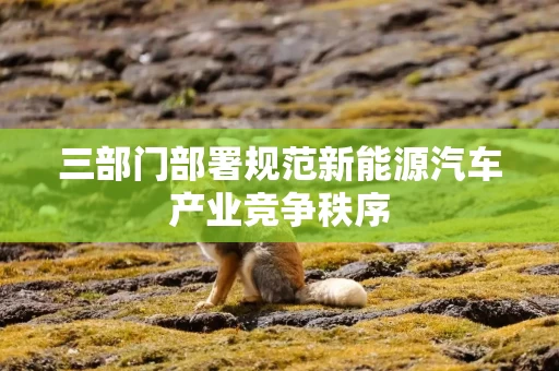 三部门部署规范新能源汽车产业竞争秩序