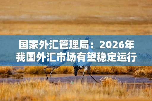 国家外汇管理局：2026年我国外汇市场有望稳定运行