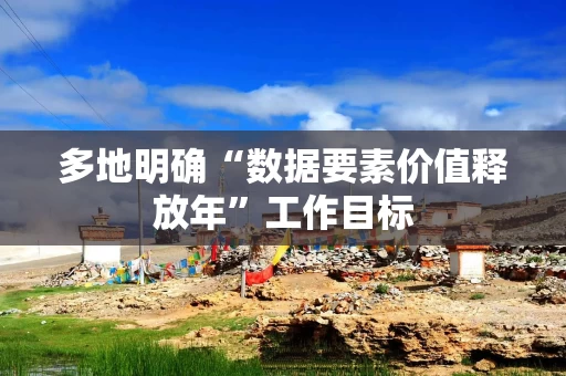 多地明确“数据要素价值释放年”工作目标