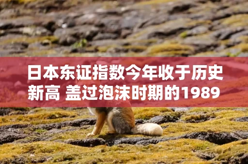 日本东证指数今年收于历史新高 盖过泡沫时期的1989年