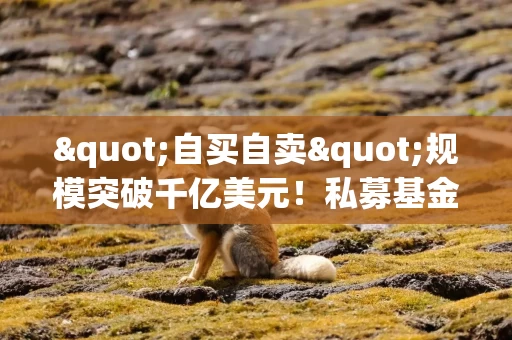 "自买自卖"规模突破千亿美元！私募基金"左手倒右手"交易创历史新高