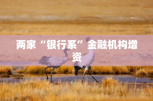 两家“银行系”金融机构增资