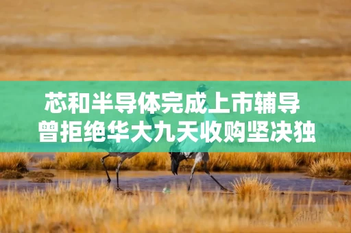 芯和半导体完成上市辅导 曾拒绝华大九天收购坚决独立IPO