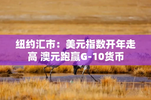 纽约汇市：美元指数开年走高 澳元跑赢G-10货币