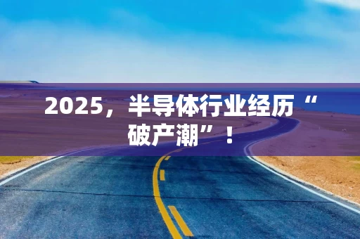2025，半导体行业经历“破产潮”！