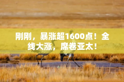 刚刚，暴涨超1600点！全线大涨，席卷亚太！