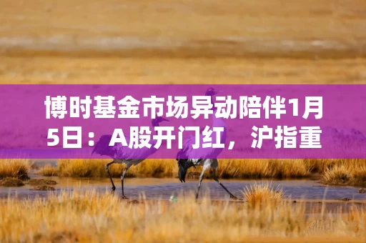 博时基金市场异动陪伴1月5日：A股开门红，沪指重返4000点，创业板涨超2.8%