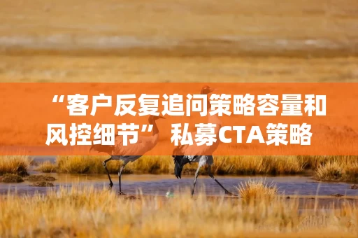 “客户反复追问策略容量和风控细节” 私募CTA策略边打胜仗边进化