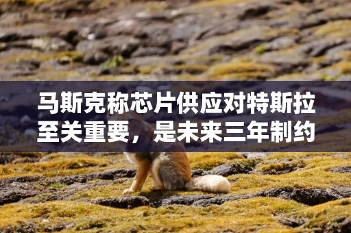 马斯克称芯片供应对特斯拉至关重要,是未来三年制约增长的最大瓶颈 马斯克称芯片供应对特斯拉至关重要,是未来三年制约增长的最大瓶颈