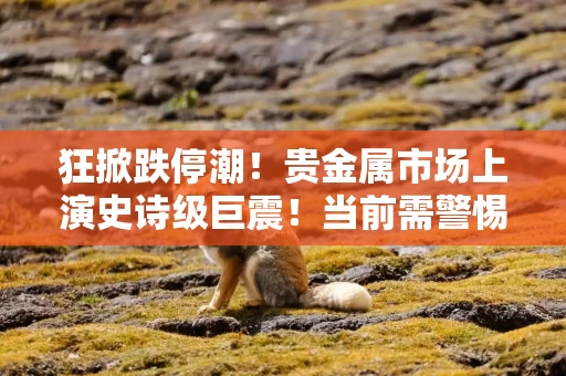 狂掀跌停潮！贵金属市场上演史诗级巨震！当前需警惕哪些风险？