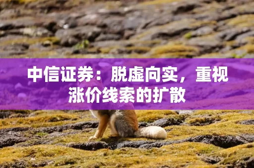 中信证券：脱虚向实，重视涨价线索的扩散