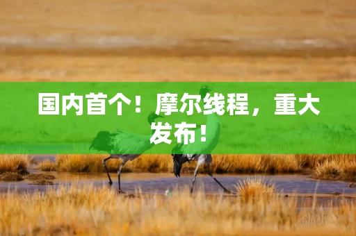 国内首个！摩尔线程，重大发布！