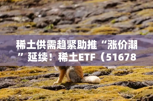 稀土供需趋紧助推“涨价潮”延续！稀土ETF（516780）近三个交易日合计吸金近3亿元，位居同类前列