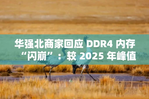 华强北商家回应 DDR4 内存“闪崩”：较 2025 年峰值回落约 10-20%，市场炒作心态有所收敛