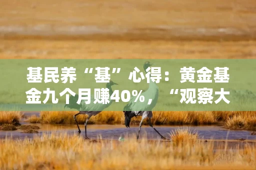 基民养“基”心得：黄金基金九个月赚40%，“观察大佬两年才敢跟投”