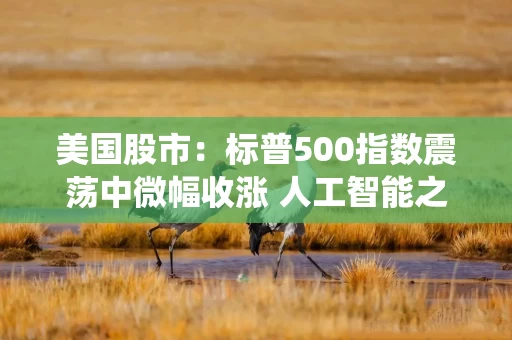 美国股市：标普500指数震荡中微幅收涨 人工智能之忧萦绕华尔街