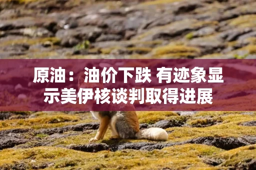 原油：油价下跌 有迹象显示美伊核谈判取得进展