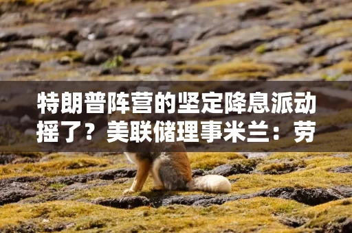 特朗普阵营的坚定降息派动摇了？美联储理事米兰：劳动力市场改善可令今年少些降息