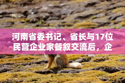 河南省委书记、省长与17位民营企业家餐叙交流后，企业家代表集体发声丨极刻