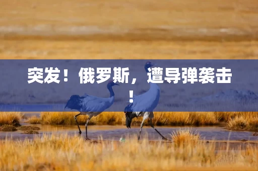 突发!俄罗斯,遭导弹袭击! 突发!俄罗斯,遭导弹袭击!