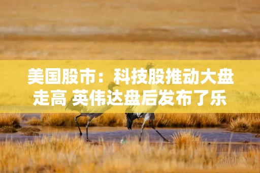 美国股市：科技股推动大盘走高 英伟达盘后发布了乐观营收展望