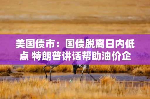 美国债市：国债脱离日内低点 特朗普讲话帮助油价企稳