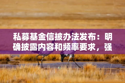 私募基金信披办法发布：明确披露内容和频率要求，强化穿透披露