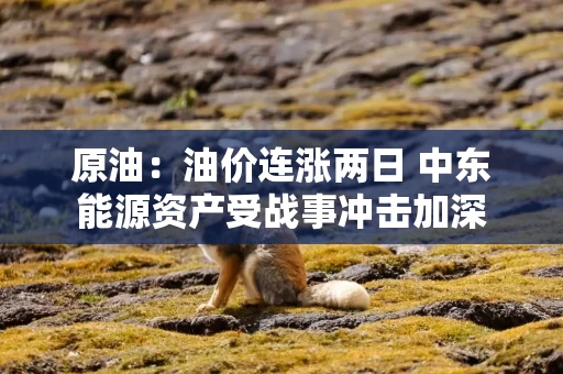 原油：油价连涨两日 中东能源资产受战事冲击加深