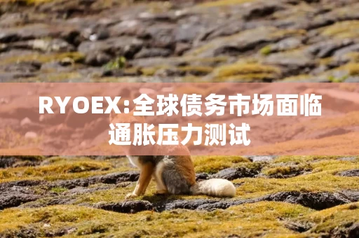 RYOEX:全球债务市场面临通胀压力测试