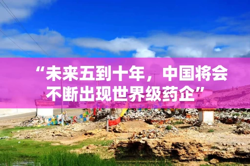 “未来五到十年，中国将会不断出现世界级药企”