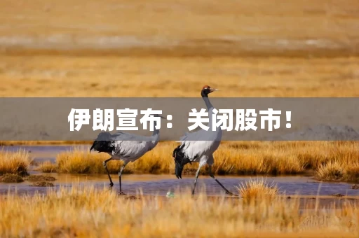 伊朗宣布：关闭股市！