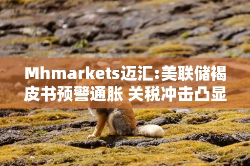 Mhmarkets迈汇:美联储褐皮书预警通胀 关税冲击凸显