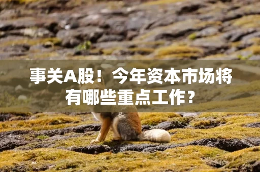 事关A股！今年资本市场将有哪些重点工作？