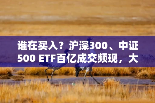 谁在买入？沪深300、中证500 ETF百亿成交频现，大资金借道ETF布局动向曝光