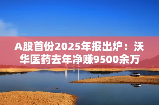 A股首份2025年报出炉：沃华医药去年净赚9500余万元，公司进入无实控人状态