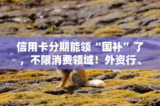 信用卡分期能领“国补”了，不限消费领域！外资行、汽车金融公司加入贴息