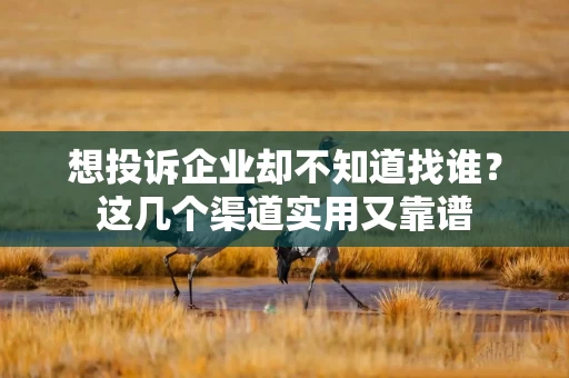 想投诉企业却不知道找谁？这几个渠道实用又靠谱