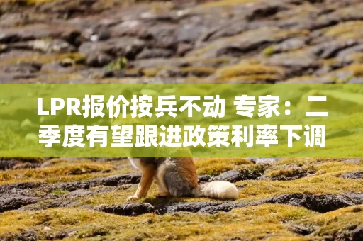 LPR报价按兵不动 专家：二季度有望跟进政策利率下调