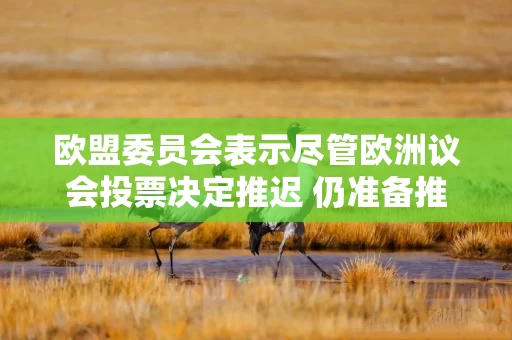 欧盟委员会表示尽管欧洲议会投票决定推迟 仍准备推进南方共同市场贸易协定的落实