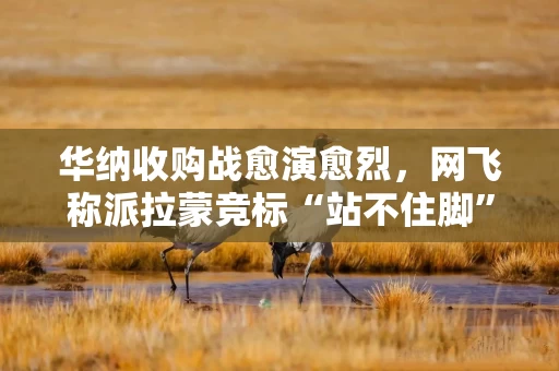 华纳收购战愈演愈烈，网飞称派拉蒙竞标“站不住脚”