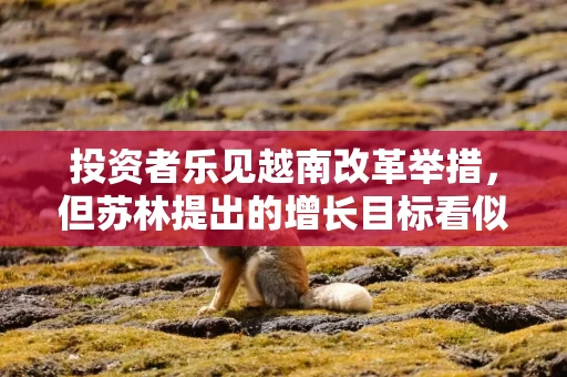 投资者乐见越南改革举措，但苏林提出的增长目标看似遥不可及