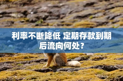 利率不断降低 定期存款到期后流向何处？