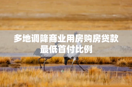 多地调降商业用房购房贷款最低首付比例