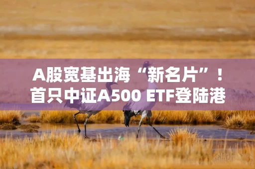 A股宽基出海“新名片”！首只中证A500 ETF登陆港交所