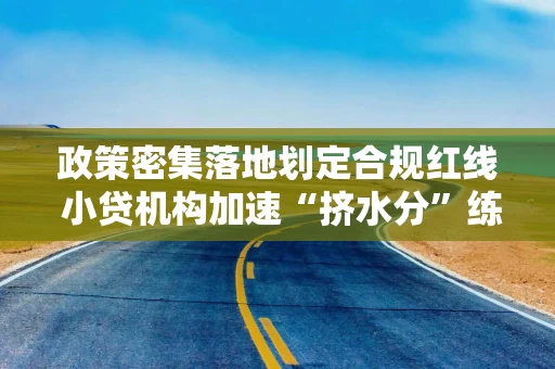 政策密集落地划定合规红线 小贷机构加速“挤水分”练内功